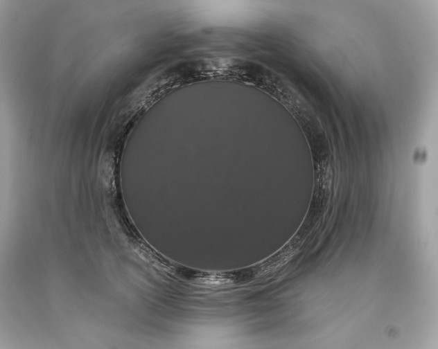 X0000093530754200710261251