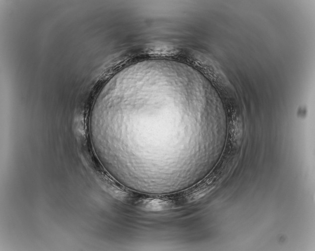 X0000093530755200710261251