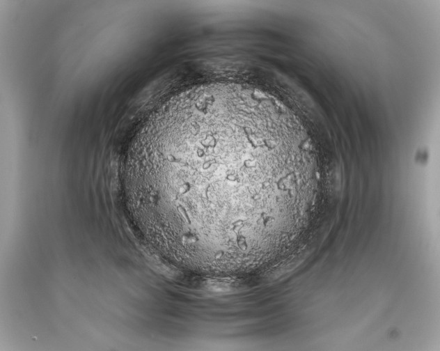 X0000093530757200710261251