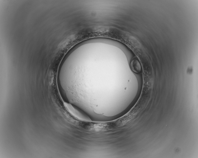 X0000093530758200710261251