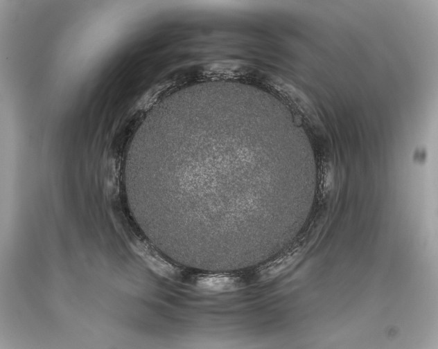 X0000093530759200710261251