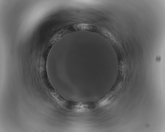 X0000093530760200710261251