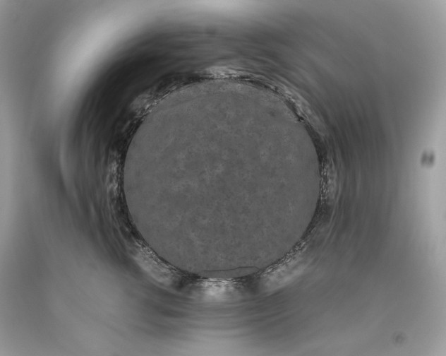 X0000093530762200710261251