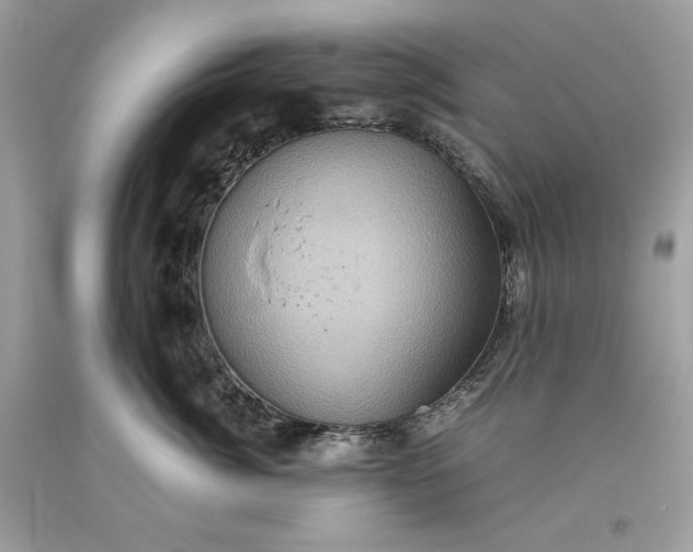 X0000093530764200710261251