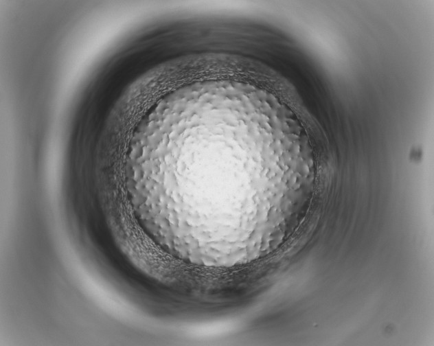 X0000093530765200710261251