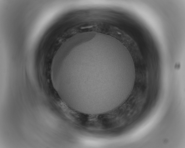 X0000093530766200710261251