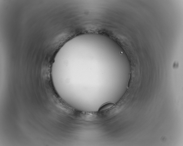 X0000093530768200710261251