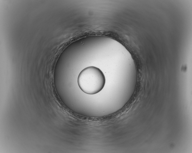 X0000093530769200710261251