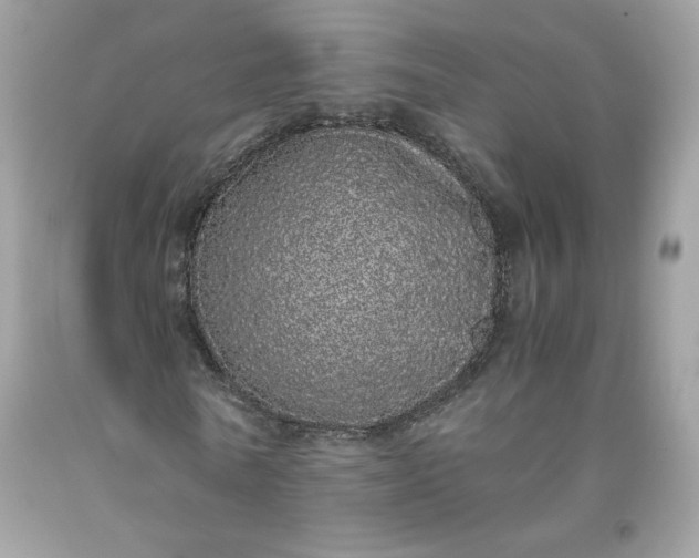 X0000093530770200710261251