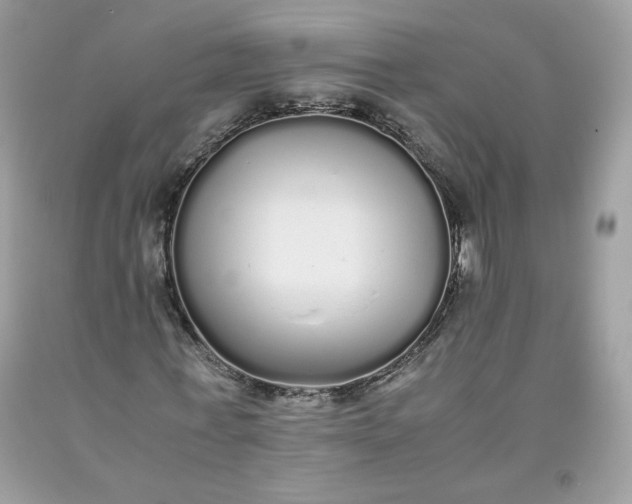 X0000093530771200710261251