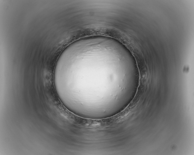 X0000093530772200710261251