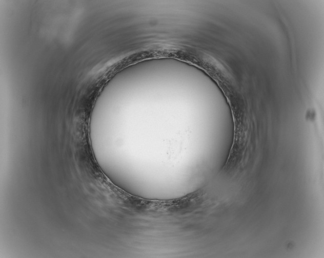 X0000093530773200710261251