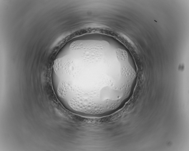 X0000093530775200710261251