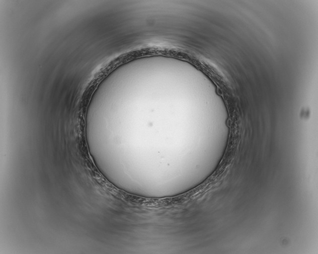 X0000093530776200710261250