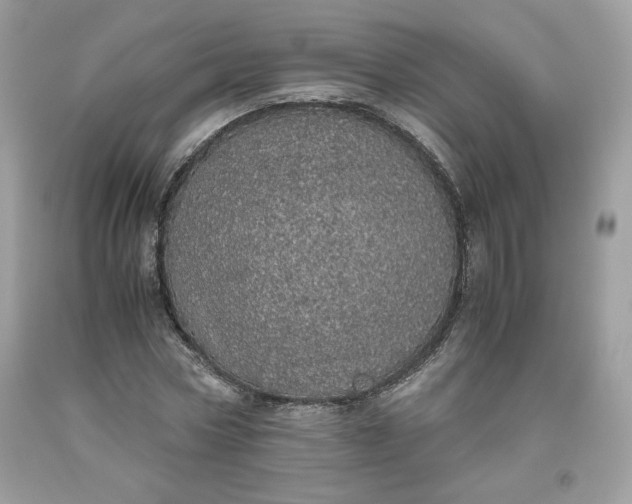 X0000093530778200710261250