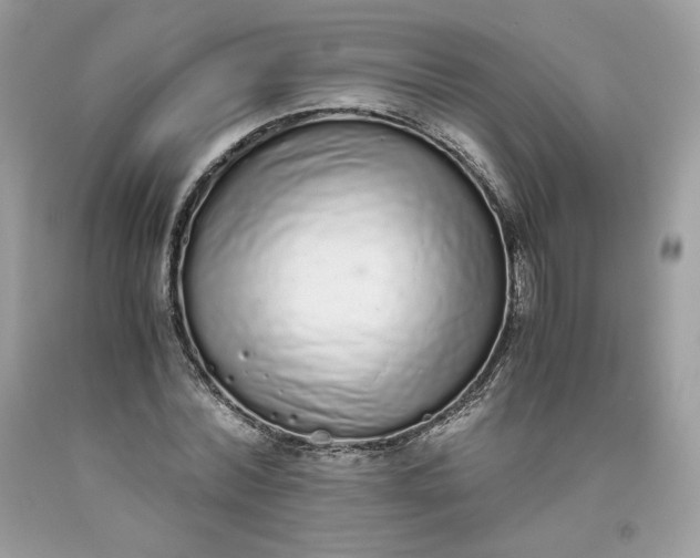 X0000093530780200710261250