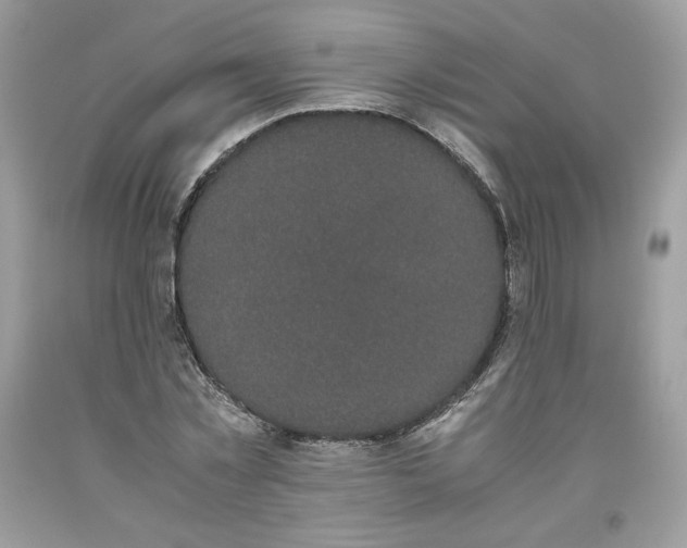 X0000093530781200710261250