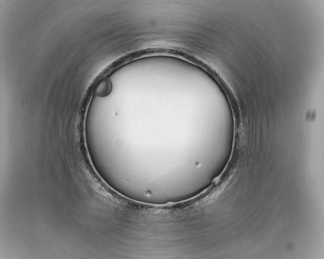 X0000093530783200710261250