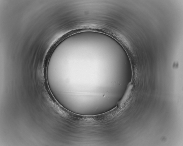 X0000093530784200710261250