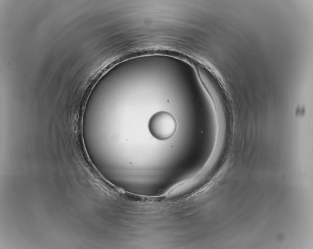 X0000093530785200710261250