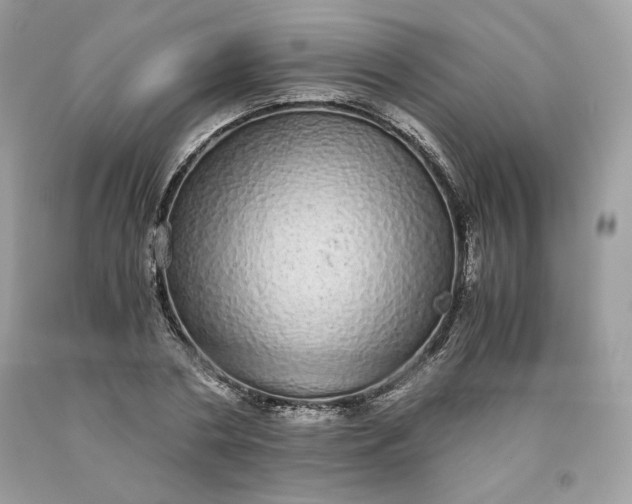 X0000093530786200710261250