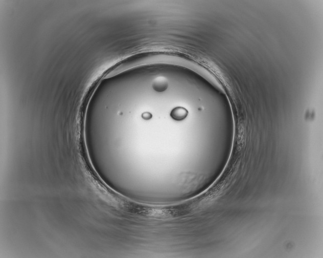 X0000093530787200710261250