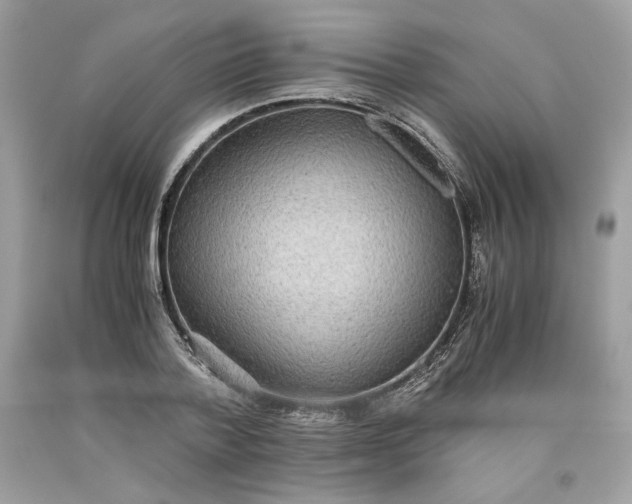 X0000093530788200710261250