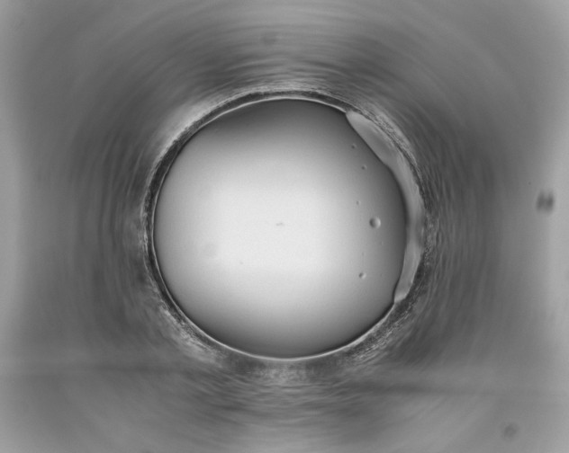 X0000093530789200710261250