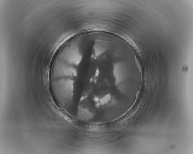 X0000093530790200710261250