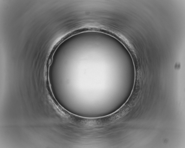 X0000093530791200710261250