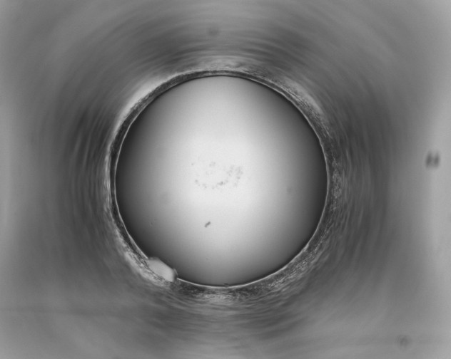 X0000093530792200710261250