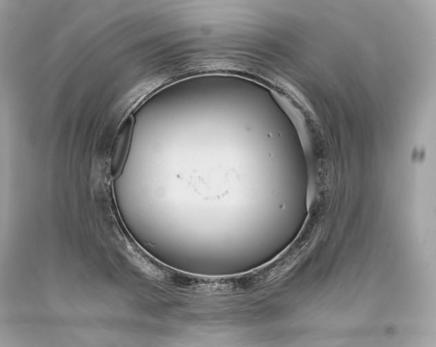 X0000093530793200710261250