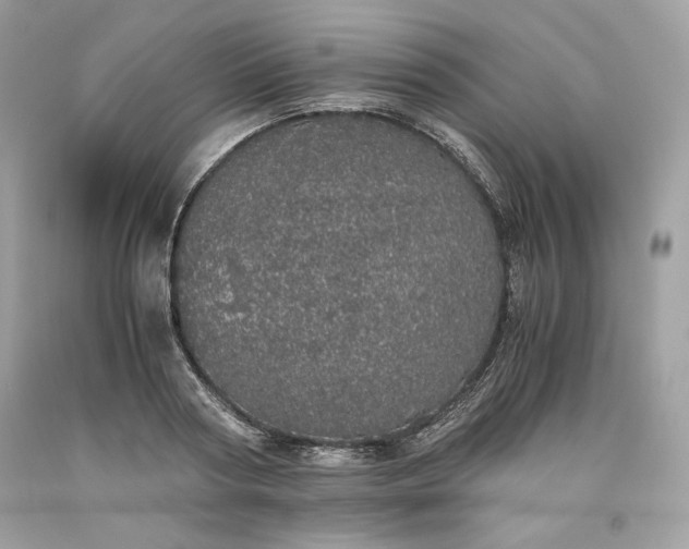 X0000093530794200710261250