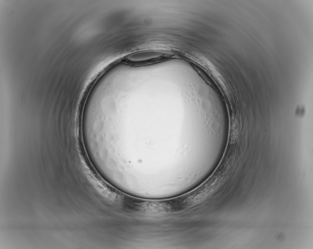 X0000093530795200710261250