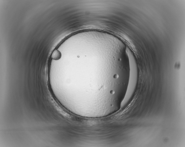 X0000093530796200710261250