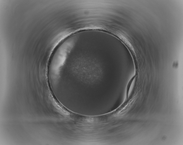 X0000093530797200710261250