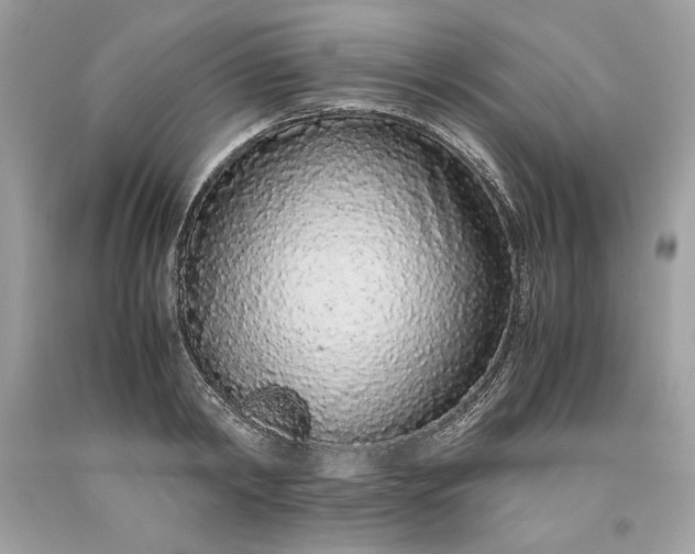 X0000093530798200710261250