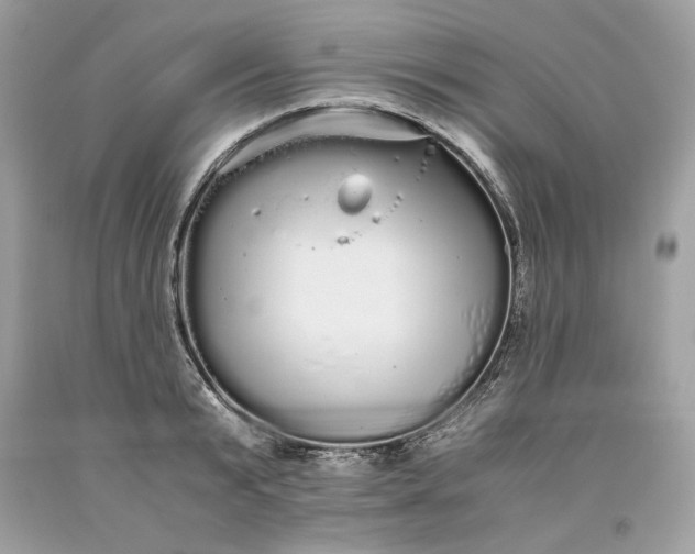 X0000093530799200710261250