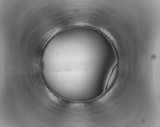 X0000093530801200710261250