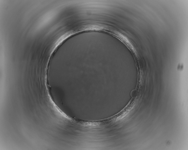 X0000093530802200710261250