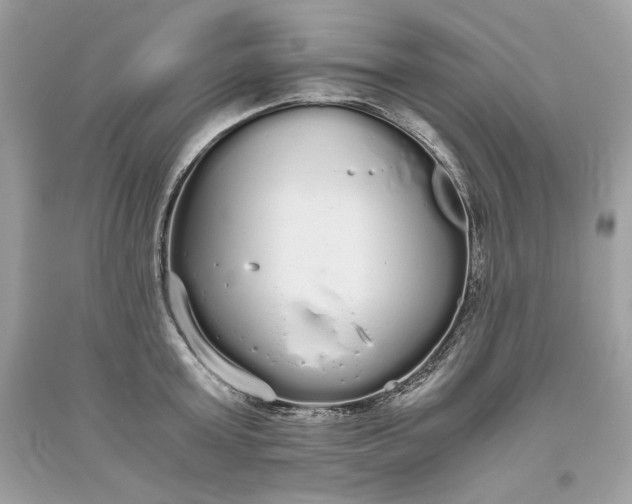 X0000093530803200710261250