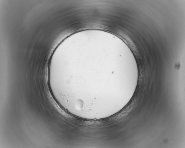 X0000093530804200710261250