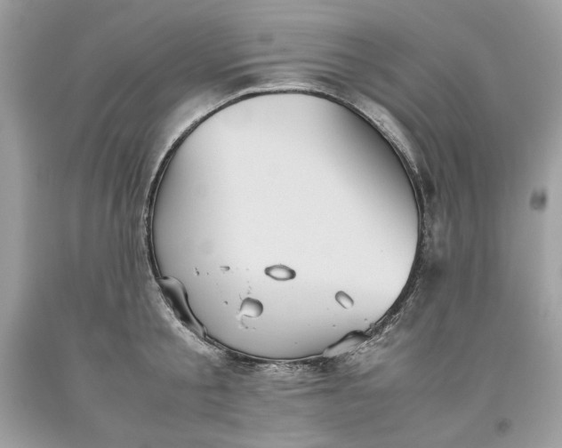 X0000093530805200710261250