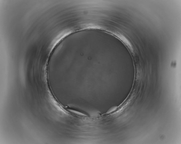 X0000093530806200710261250