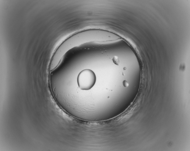 X0000093530807200710261250