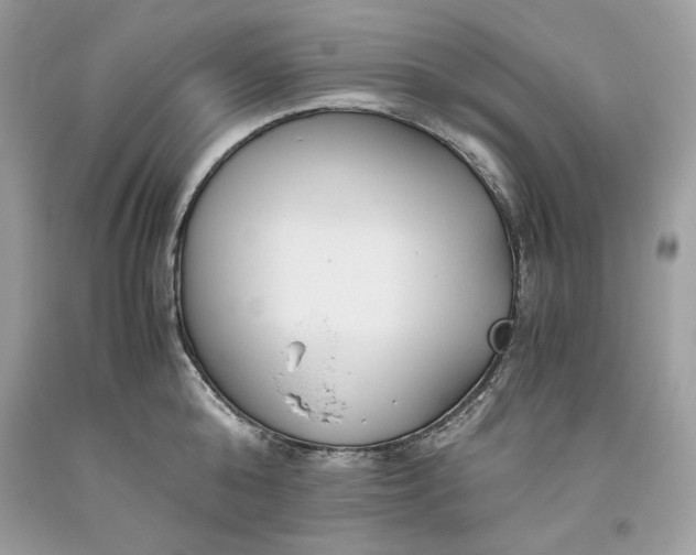 X0000093530808200710261250