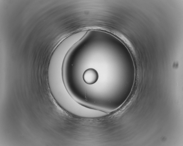 X0000093530809200710261250