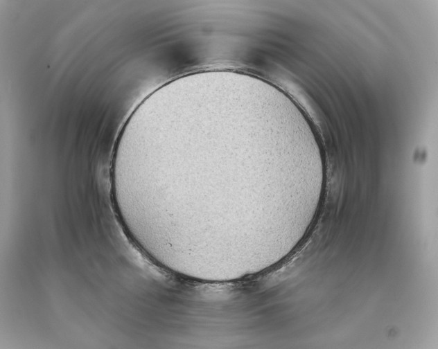 X0000093530810200710261250