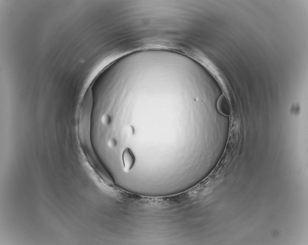 X0000093530811200710261250