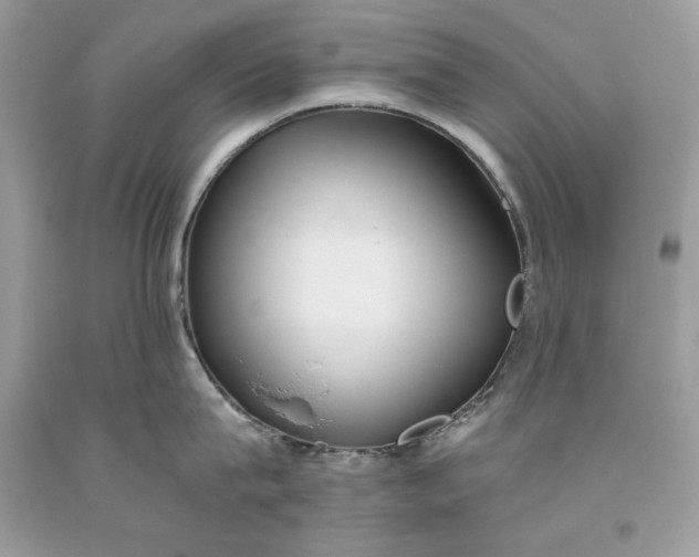 X0000093530815200710261250